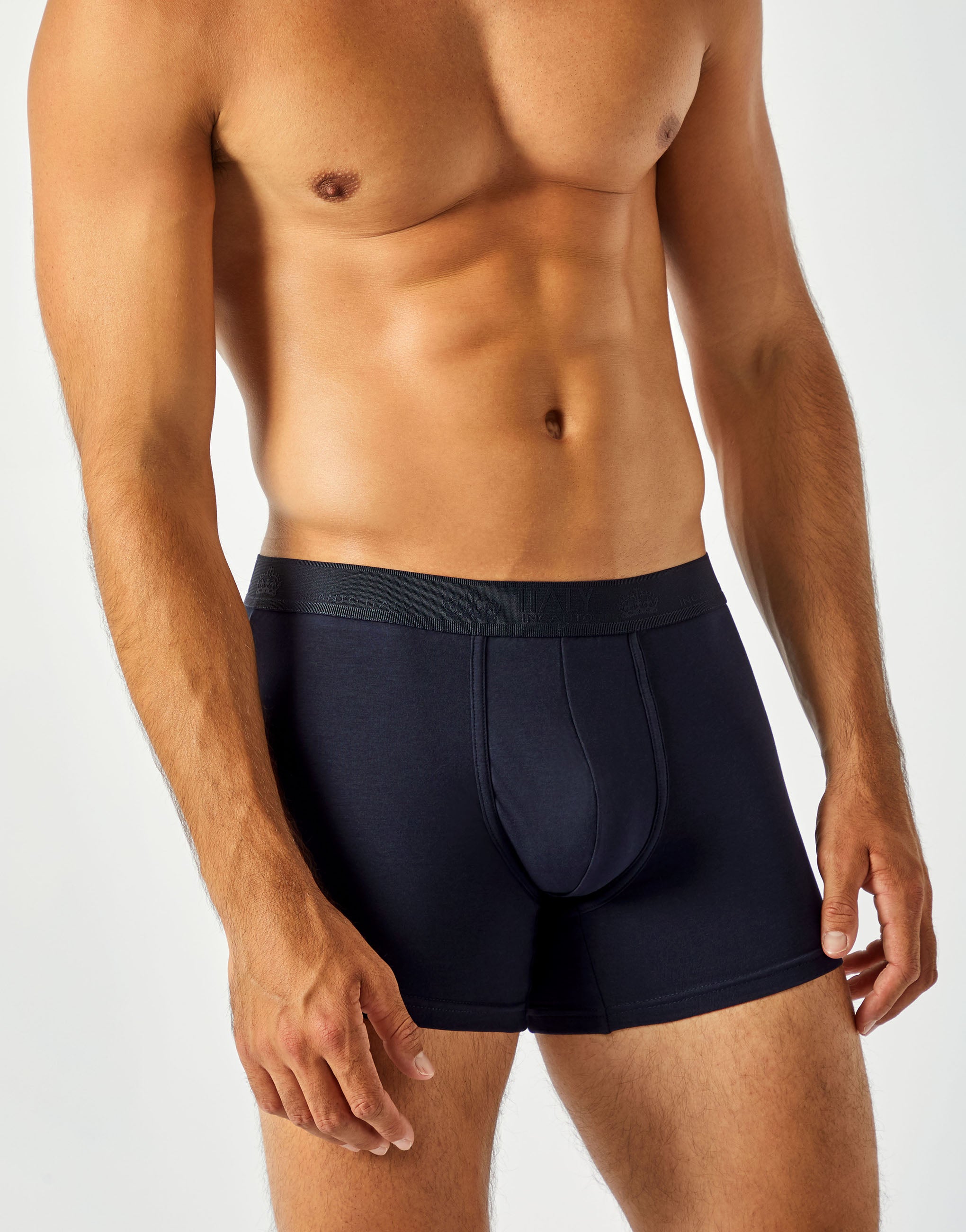 Boxer BU786