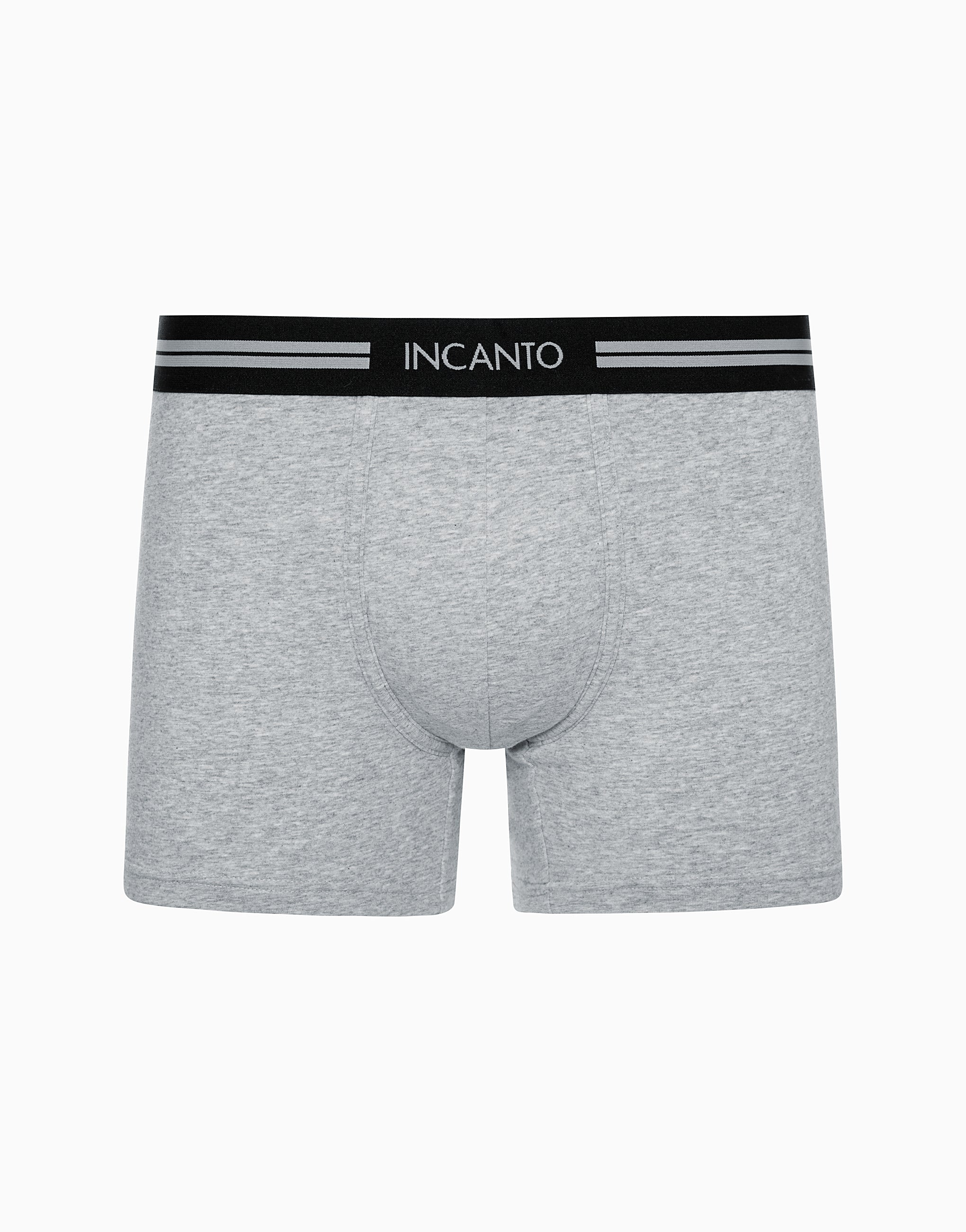 Boxer BU916