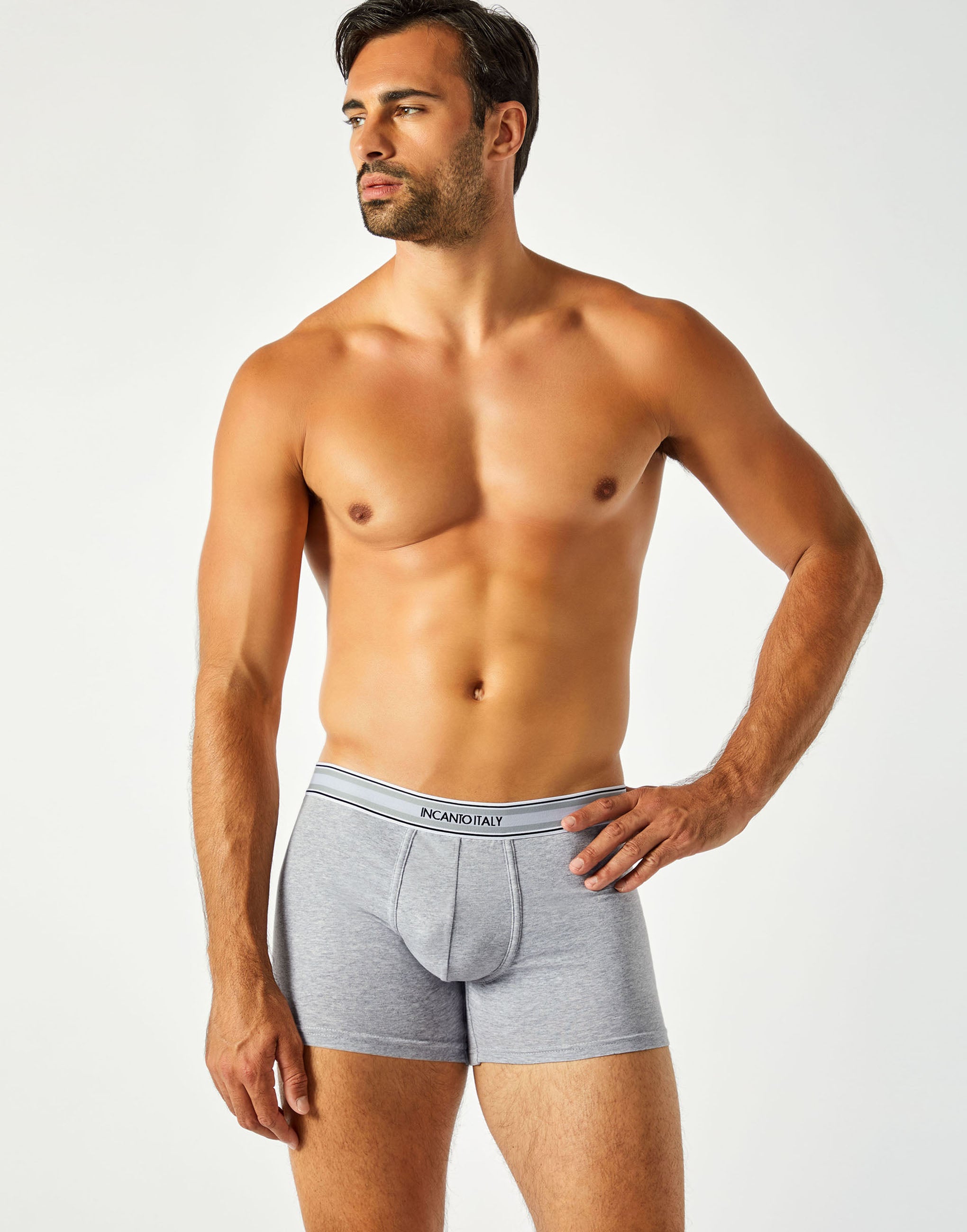 Boxer BU789